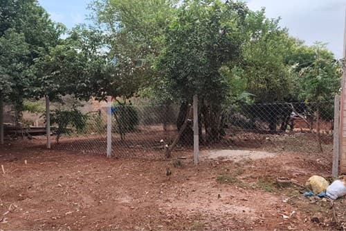 Oportunidad de inversión segura en Ciudad del Este — foto principal