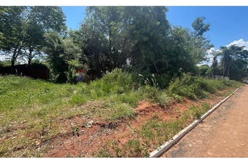 VENDO Terreno de 1 Hectárea en Luque