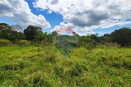 Terreno de 13650 m2 en Arroyos Y Esteros — foto 5