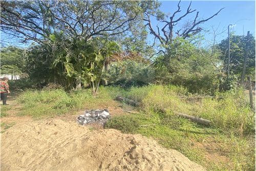 Terreno en venta – Zona Isla Verde,Luque