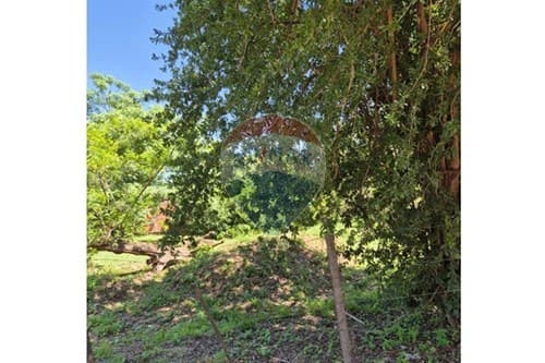 Amplio terreno en Mariano Roque Alonso — foto 2