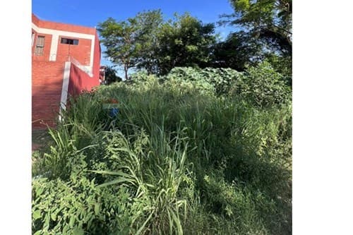 Terreno en Luque - primer barrio — foto 3