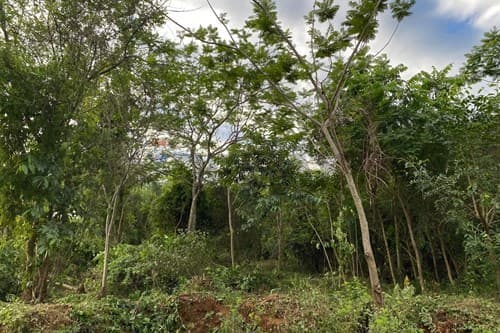 Terreno en venta - emboscada — foto 5