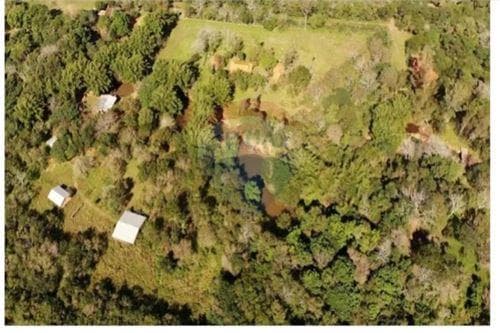 EN VENTA 73.000 m2 en Luque. Yukyry — foto 3