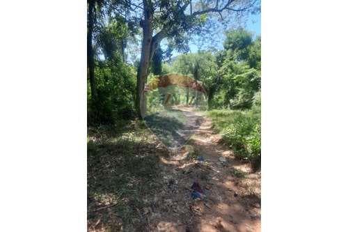 Gran oportunidad de inversión Cerro Real Caacupé — foto 4