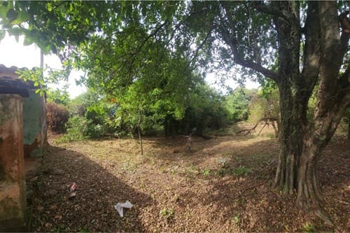 ¡Terreno en Itauguá! 1102 m² en Zona Estratégica — foto 3