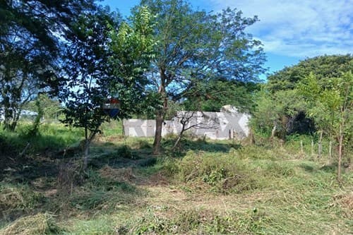 Terreno en Venta – San Bernardino, foto 2
