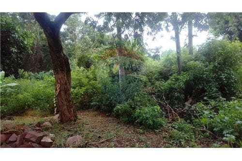Terreno en venta de 4842M2, foto 3