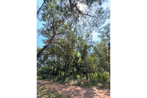 Terreno en San Bernardino — foto 2