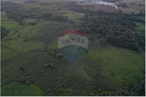 Propiedad de 31 hectáreas - Encarnación, foto 3