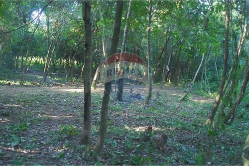 de Amplio Terreno en Eusebio Ayala — foto 2
