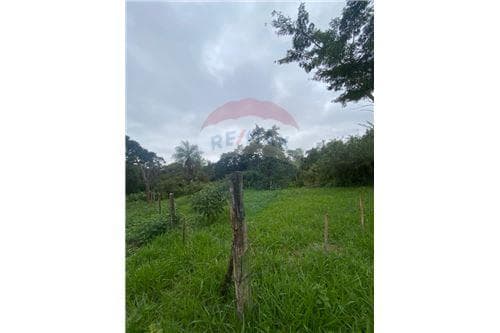 De terreno en san juan del parana, foto 4