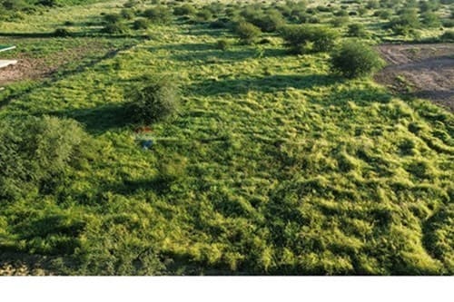de Terreno — foto 4