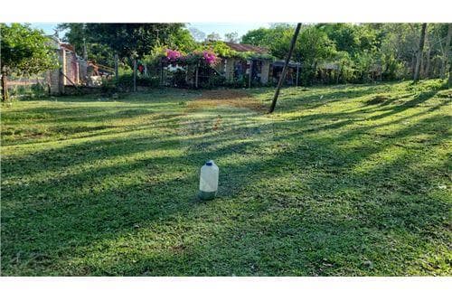 de Terreno en Limpio — foto 3