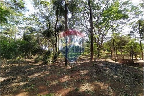 Importante terreno en venta — foto 2