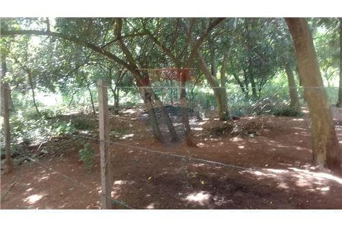 Terreno en venta de 4842M2, foto 4