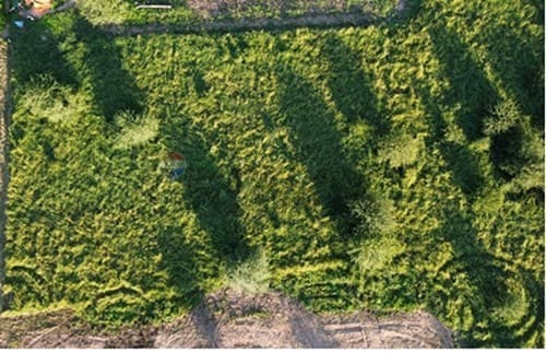 de Terreno — foto 5