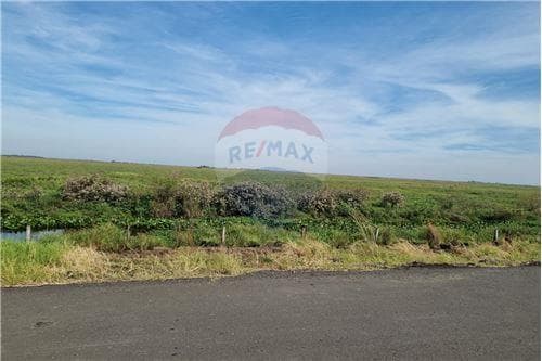En venta campo de 540 has. En juan de mena, foto 2