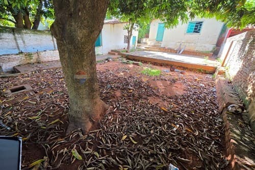 Terreno en Villa Elisa, foto 2