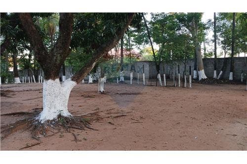 Amplio terreno en Mariano Roque Alonso, foto 4