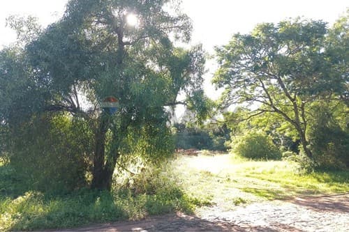 Terreno 2000m² en Coronel Bogado, ¡Ideal para Ti!, foto 4