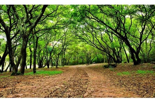 Parque alto en ypacarai — foto 5