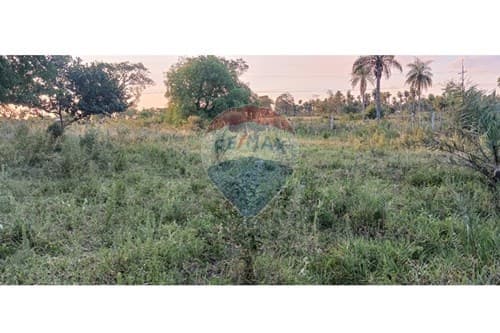 Terreno en caacupe-oferta — foto 4