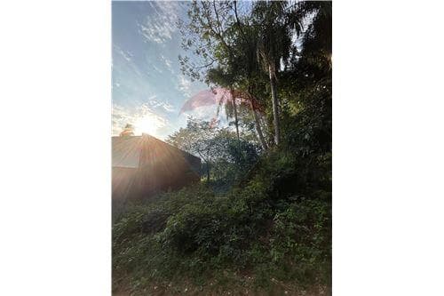Amplio terreno en San Bernardino — foto 2