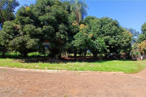 Terreno San Juan Del Parana, foto 3