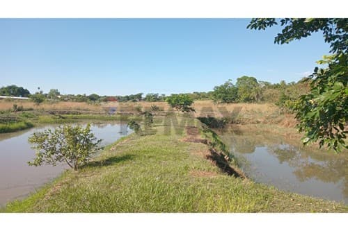 En venta propiedad de 4 hectáreas — foto 4