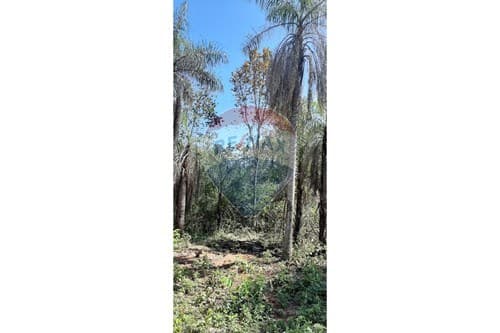 En venta terreno en altos, foto 5