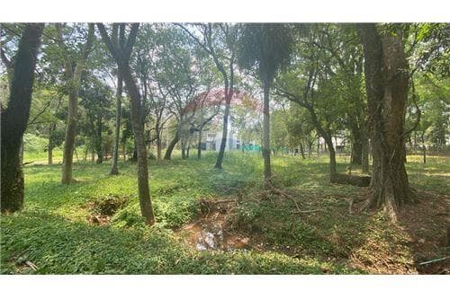 Espectacular terreno en bº hollywood-surubii — foto 5