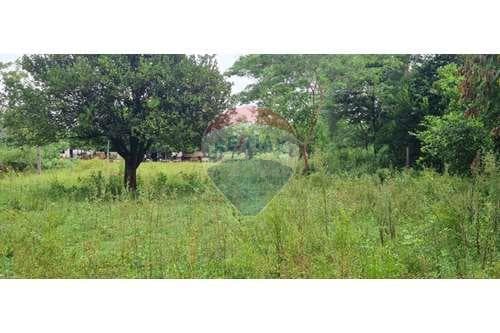 Venta de Terreno en Yaguaron