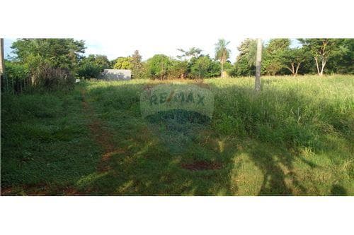 Amplio terreno en venta a sólo 80 mts de la ruta!, foto 4