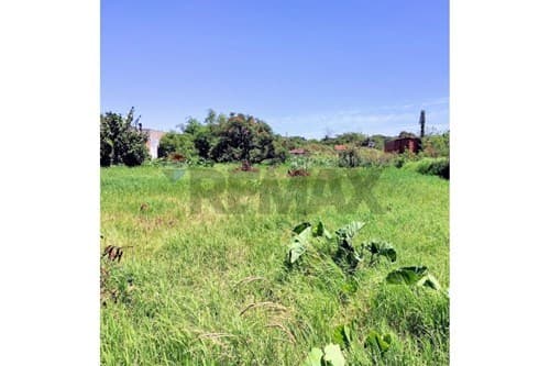 Oportunidad en de crecimiento j. Augusto saldivar — foto 2