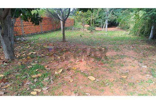 Terreno en aregua - Las Mercedes — foto 2