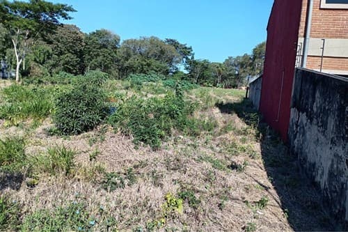Terreno Residencial en Laguna Grande, ¡Ideal! — foto 4