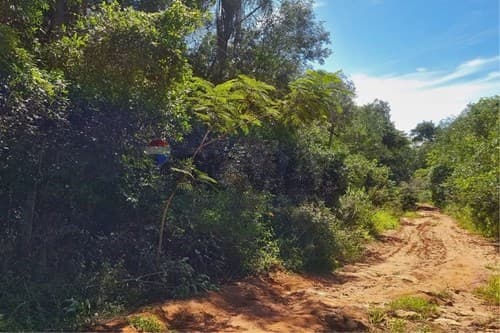de amplio Terreno en Piribebuy Cordillera, foto 3
