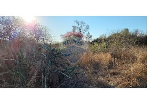 En venta terreno — foto 3