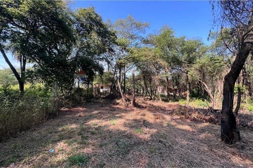 Terreno en Luque — foto 4