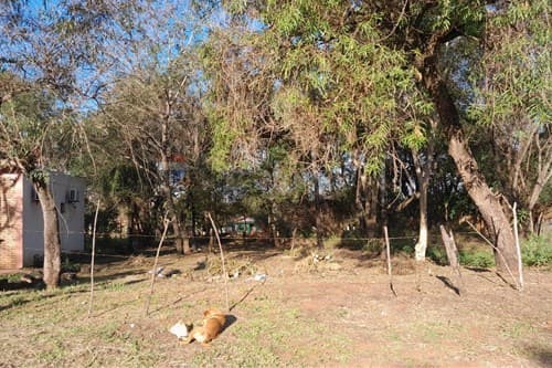 Terreno 12 x31 cañada garay — foto 2