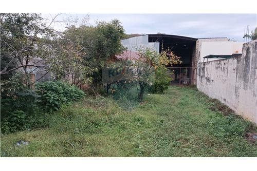 Terreno con tinglado en asuncion — foto 5