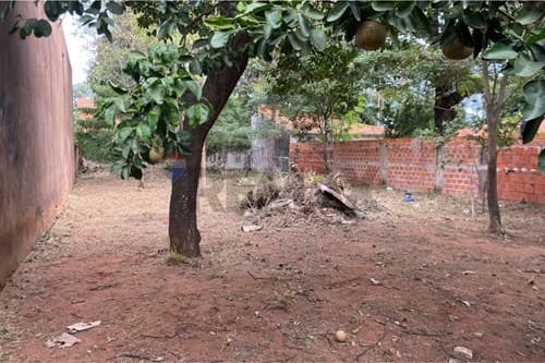 Terreno en alquiler sobre avda. Moisés bertoni — foto 4