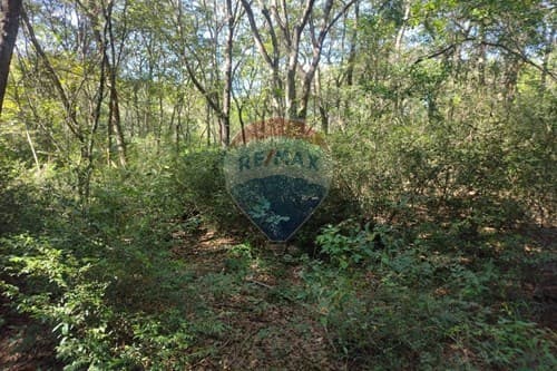 "Spacious 2052 m2 Land in Cocue Guazú for Sale!" — foto 4