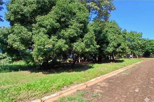 Terreno San Juan Del Parana, foto 5
