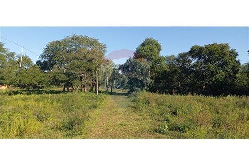 15 hectáreas en venta - Ruta Luque Sanber