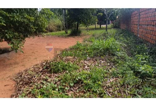 2 terrenos en aregua - Las Mercedes — foto 5