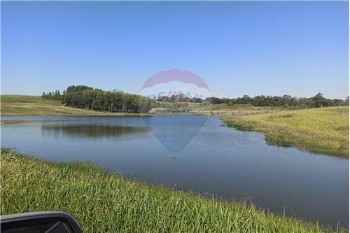 Propiedad agricola de 47 has. En Hohenau! — foto 3