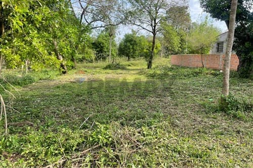 De terreno en limpio – zona don bosco — foto 3