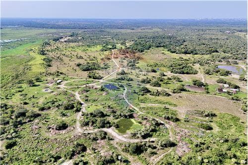 En venta 50 hectareas en jose falcon — foto 2
